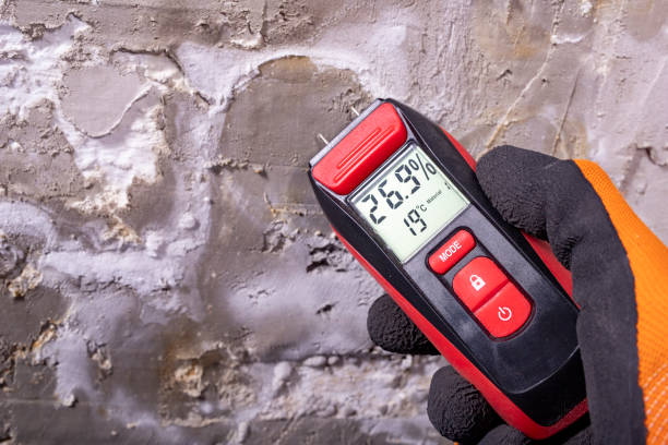 Best Basement Mold Remediation in Port Oconnor, TX