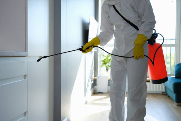 Best HVAC Mold Remediation in Port Oconnor, TX