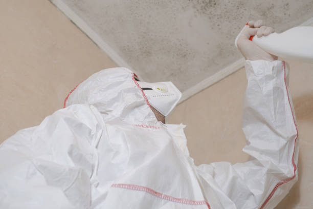 Best Emergency Mold Remediation in Port Oconnor, TX