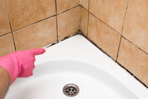 Best Commercial Mold Remediation in Port Oconnor, TX